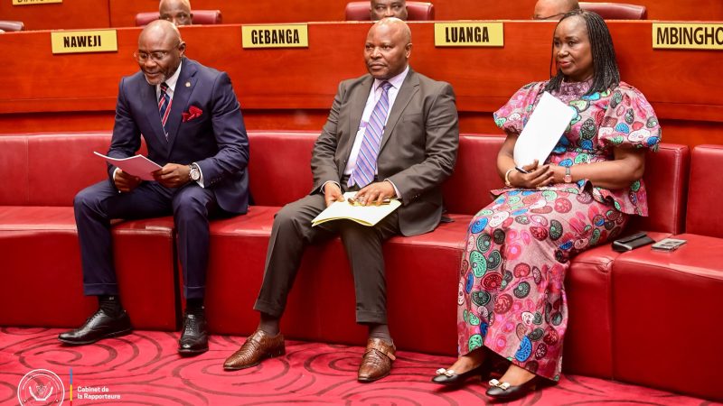 RDC : le Sénat adopte une réforme de la loi sur les conventions de collaboration et renforce le cadre de gouvernance des investissements