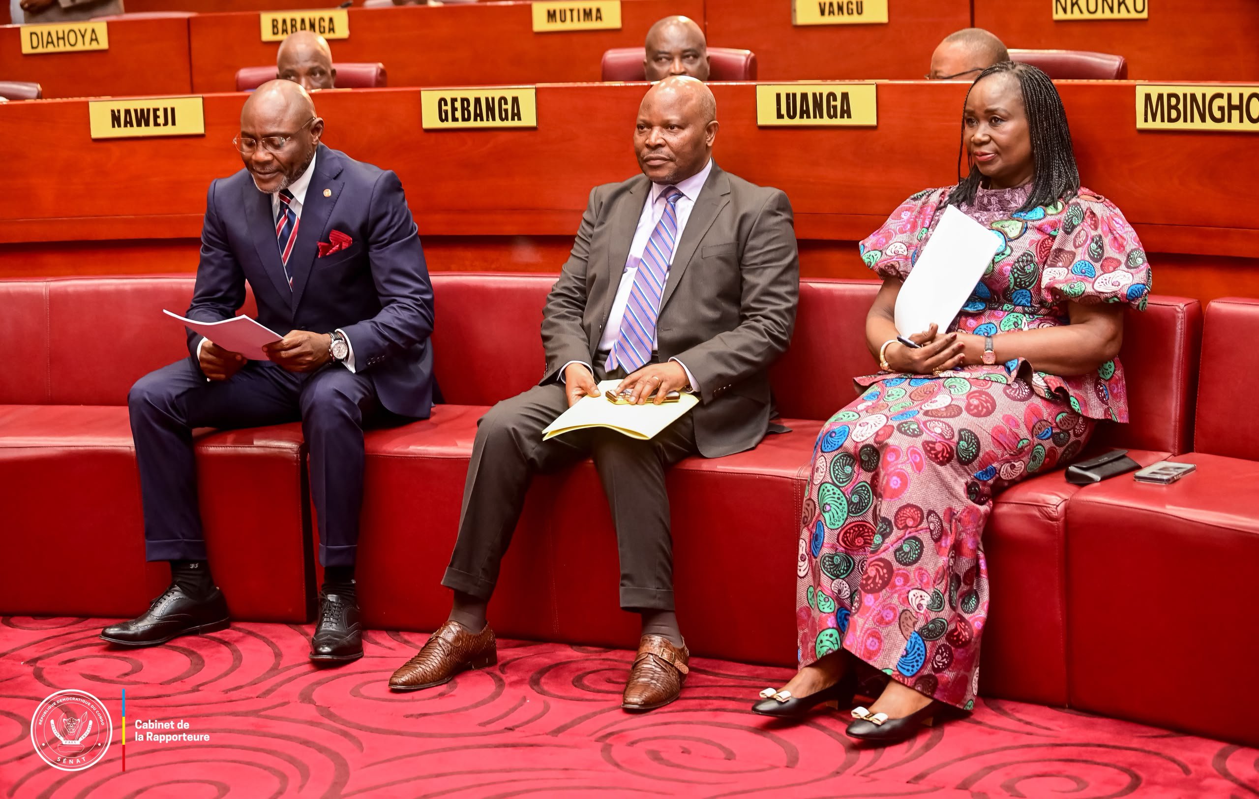 RDC : le Sénat adopte une réforme de la loi sur les conventions de collaboration et renforce le cadre de gouvernance des investissements