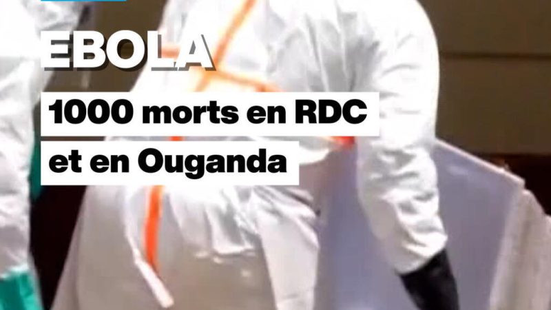 L&rsquo;épidémie d&rsquo;Ebola a déjà fait plus de 1000 morts en RDC et en Ouganda