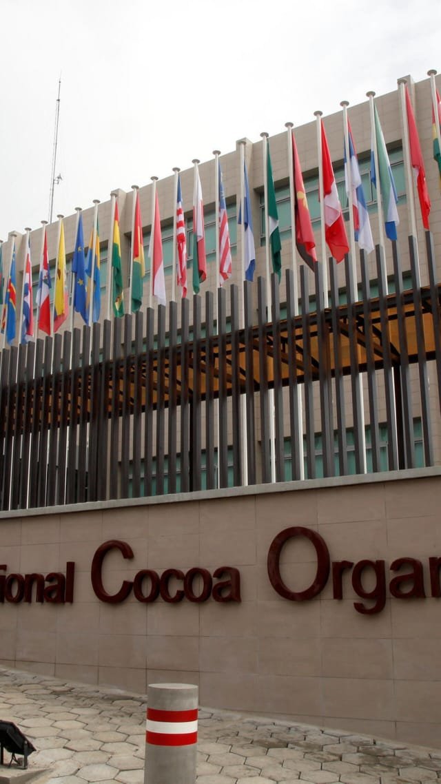 Cacao : la RDC se positionne dans la course à un commerce plus durable