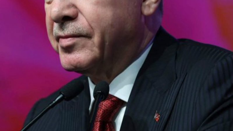 Turquie : à 66 ans, un sans-abri provoque son arrestation pour trouver refuge en prison