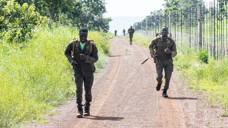RDC : 29 combattants de l’AFC/M23 se rendent aux FARDC et aux Wazalendo
